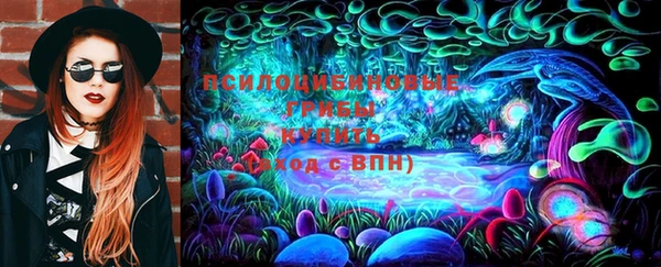 ГАЛЛЮЦИНОГЕННЫЕ ГРИБЫ Усолье-Сибирское