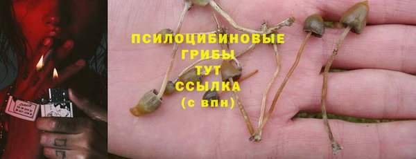 сатива Богородск