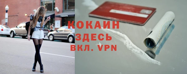 сатива Богородск