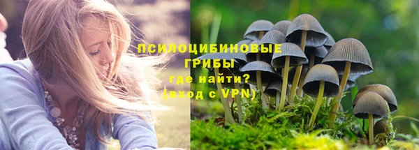 сатива Богородск