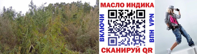 где купить   Кодинск  Дистиллят ТГК концентрат 